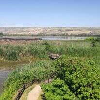 שמורת הטבע החולה | צ'ק אין אאוט