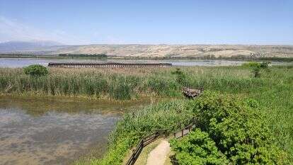 שמורת הטבע החולה | צ'ק אין אאוט