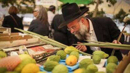 מנהגים של אליטה רבנית הפכו לנורמות מחייבות. שוק ארבעת המינים בירושלים | הדס פרוש, פלאש 90