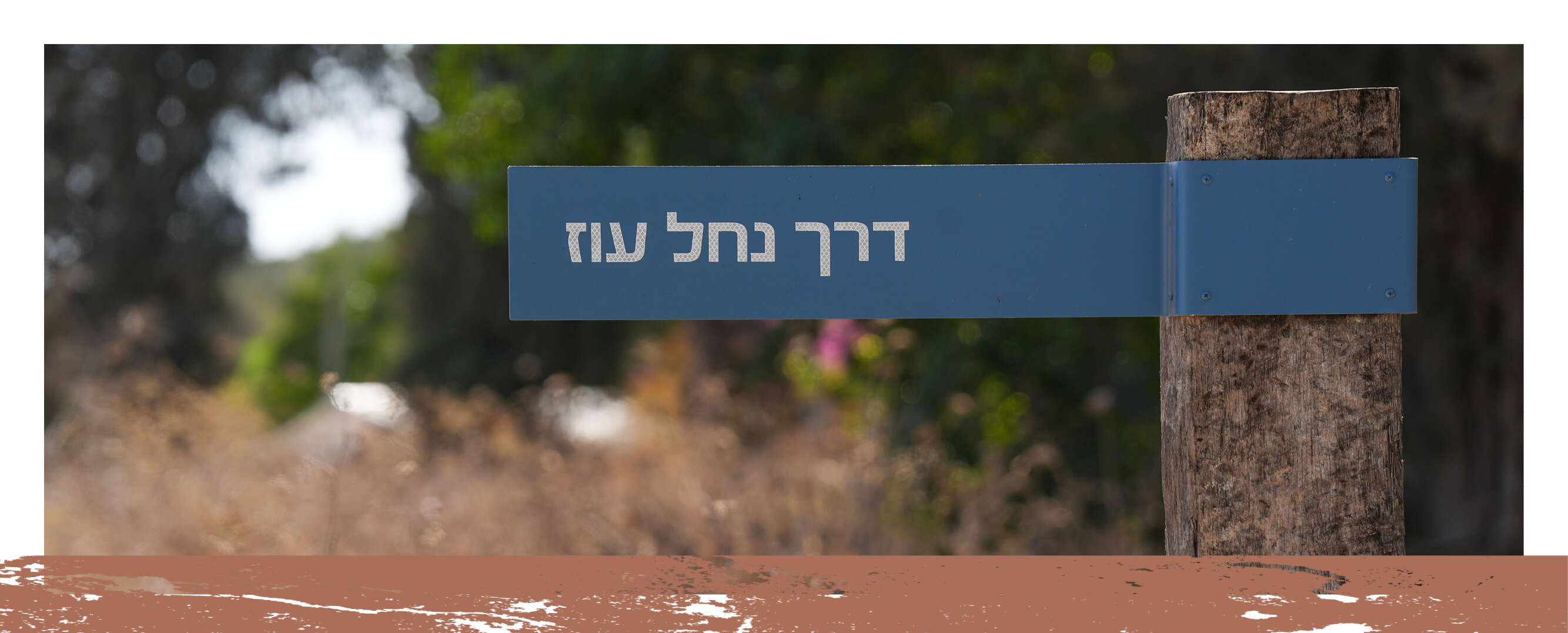 ג'יני