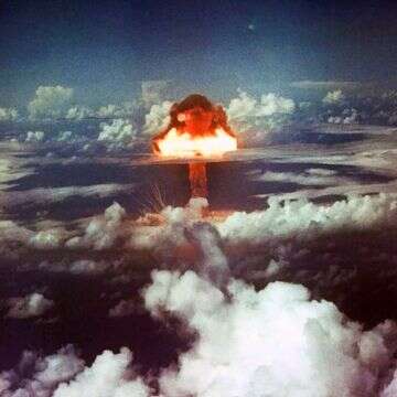 גרעין קשה לפיצוח דף הבית | גטי אימג'ס