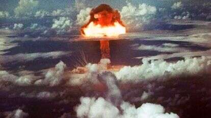 גרעין קשה לפיצוח דף הבית | גטי אימג'ס גרעין קשה לפיצוח דף הבית | גטי אימג'ס