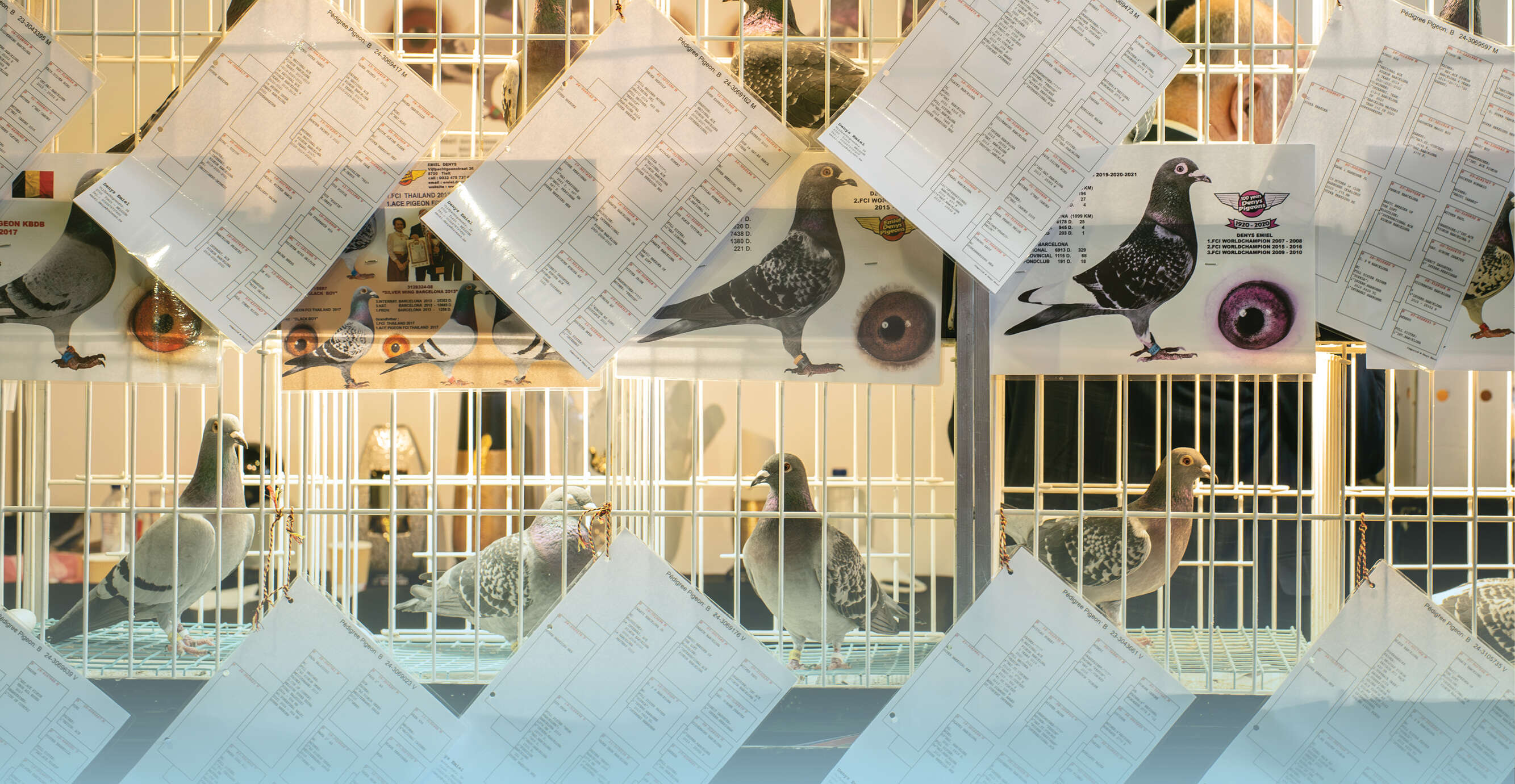 וושינגטון פוסט וושינגטון פוסט
