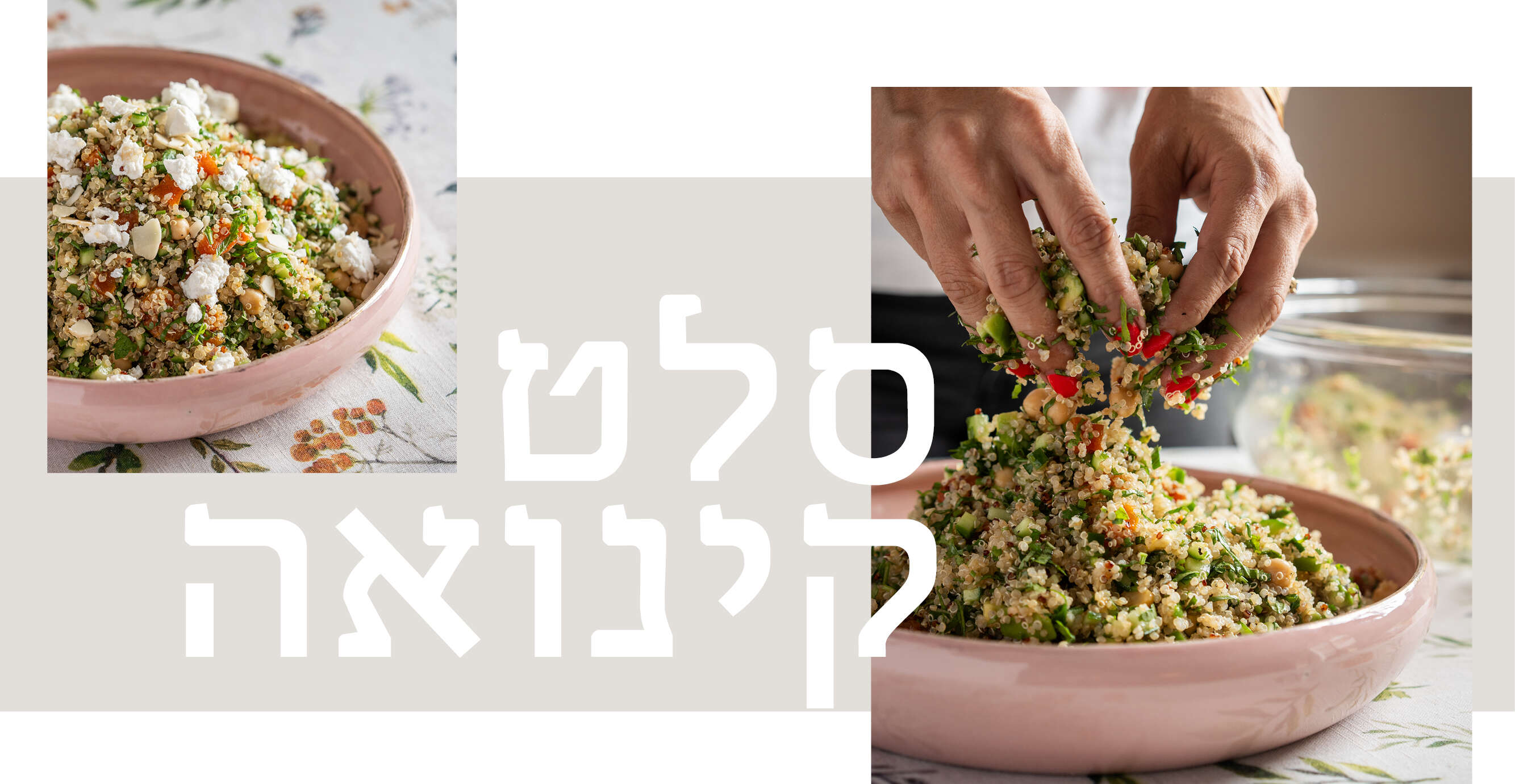 גיא אשכנזי, Karela Agency גיא אשכנזי, Karela Agency