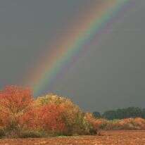 תחזית מזג האוויר | דורון הורוביץ- פלאש 90