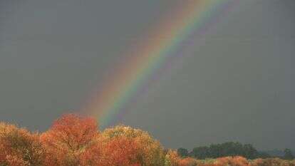 תחזית מזג האוויר | דורון הורוביץ- פלאש 90
