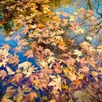 תחזית מזג האוויר | אבשלום ששוני- פלאש 90