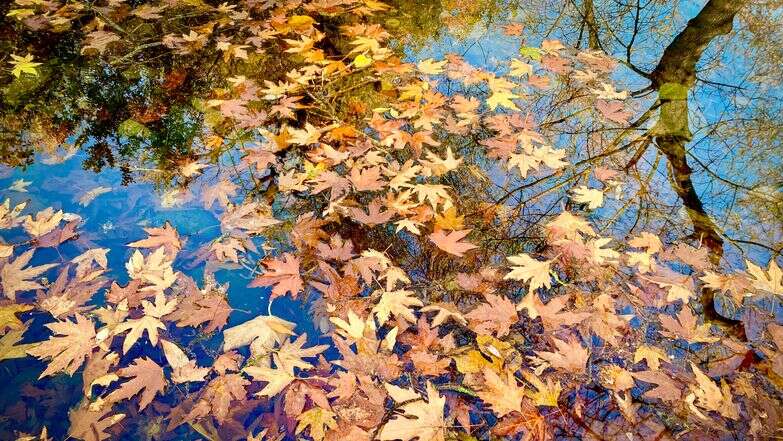 תחזית מזג האוויר | אבשלום ששוני, פלאש 90