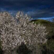 תחזית מזג האוויר | מיכאל גלעדי- פלאש 90
