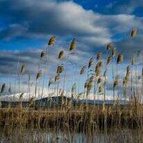 תחזית מזג האוויר | מיכאל גלעדי- פלאש 90