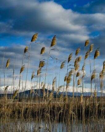 תחזית מזג האוויר | מיכאל גלעדי- פלאש 90 תחזית מזג האוויר | מיכאל גלעדי- פלאש 90