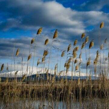 תחזית מזג האוויר | מיכאל גלעדי- פלאש 90 תחזית מזג האוויר | מיכאל גלעדי- פלאש 90