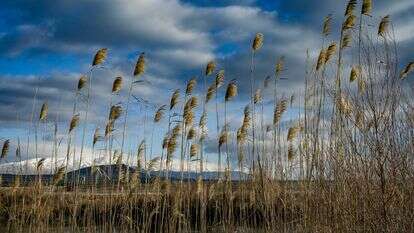 תחזית מזג האוויר | מיכאל גלעדי- פלאש 90 תחזית מזג האוויר | מיכאל גלעדי- פלאש 90