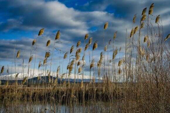 תחזית מזג האוויר | מיכאל גלעדי- פלאש 90