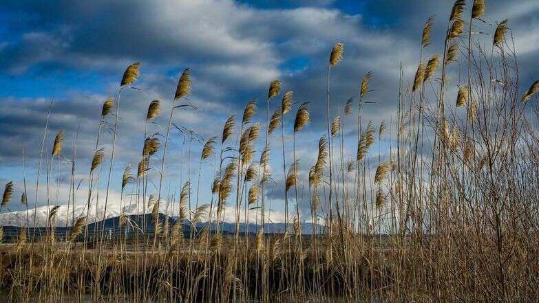תחזית מזג האוויר | מיכאל גלעדי- פלאש 90 תחזית מזג האוויר | מיכאל גלעדי- פלאש 90
