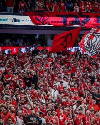 אוהדי הפועל תל אביב בכדורסל | אורן בו חקון, פלאש 90