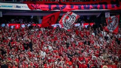 אוהדי הפועל תל אביב בכדורסל | אורן בו חקון, פלאש 90