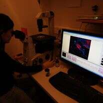 מעבדות לחקר סרטן בבית החולים הדסה | קרן פרימן, פלאש 90 מעבדות לחקר סרטן בבית החולים הדסה | קרן פרימן, פלאש 90