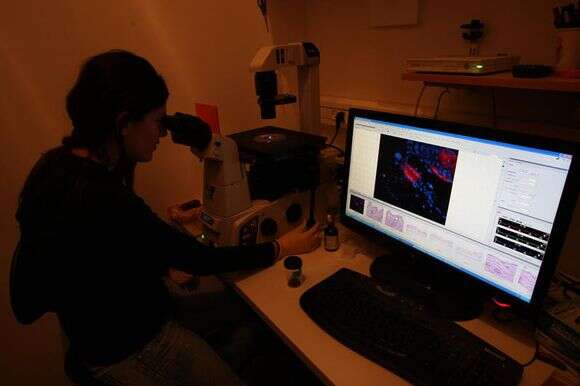 מעבדה  לחקר סרטן בבית החולים הדסה | קרן פרימן, פלאש 90 מעבדה  לחקר סרטן בבית החולים הדסה | קרן פרימן, פלאש 90