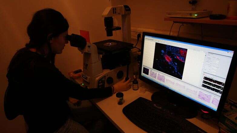 מעבדות לחקר סרטן בבית החולים הדסה | קרן פרימן, פלאש 90 מעבדות לחקר סרטן בבית החולים הדסה | קרן פרימן, פלאש 90