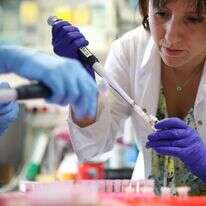 מעבדה בטכניון, אילוסטרציה | חן גלילי