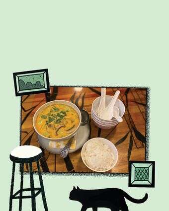 תאילנד הקטנה חתוליות | ג'ו ונאוה תאילנד הקטנה חתוליות | ג'ו ונאוה