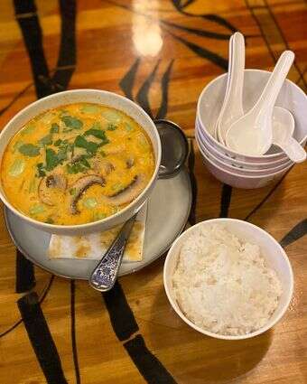 תאילנד הקטנה חתוליות | ג'ו ונאוה תאילנד הקטנה חתוליות | ג'ו ונאוה