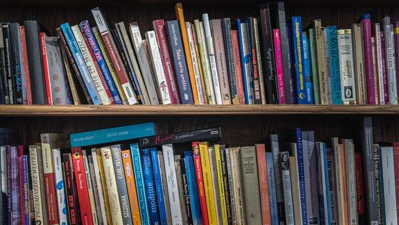 ספרים בספריה | יהב גמליאל- פלאש 90