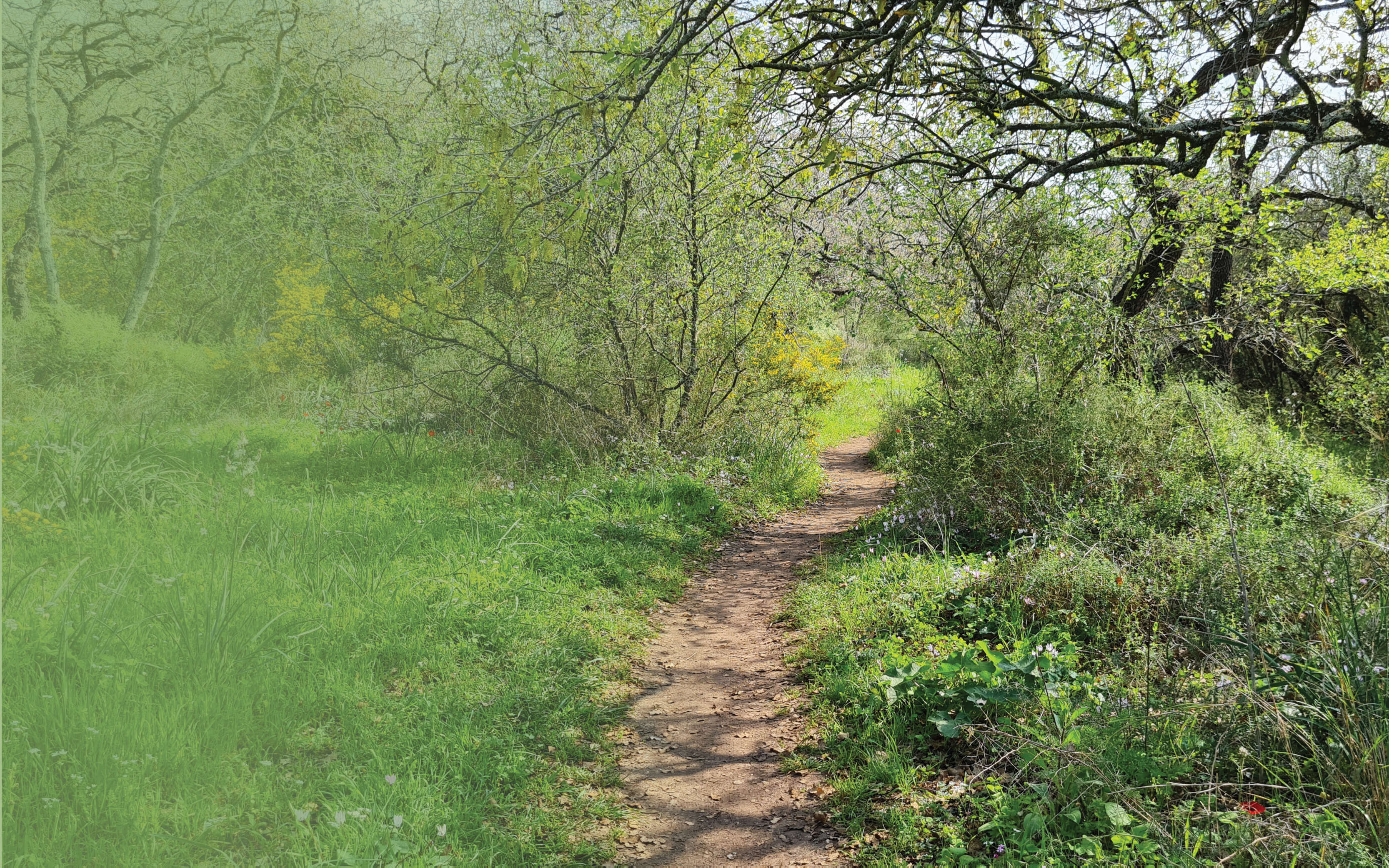 שלוות עולמים | צק אין אאוט שלוות עולמים | צק אין אאוט