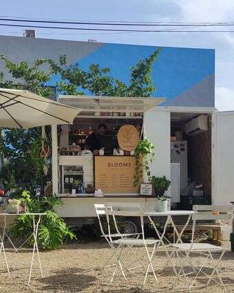 שלוות עולמים דף הבית | צק אין אאוט