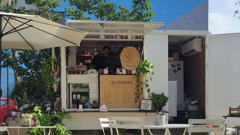 שלוות עולמים דף הבית | צק אין אאוט