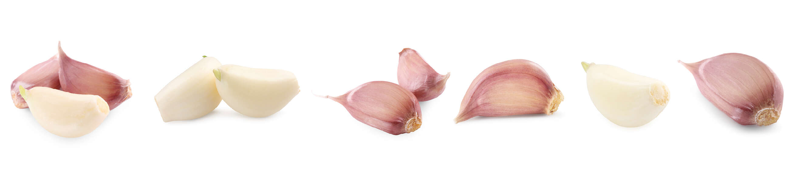 שאטרסטוק שאטרסטוק