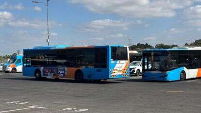 אוטובוסים של חברת אקסטרה | חברת אקסטרה אוטובוסים של חברת אקסטרה | חברת אקסטרה