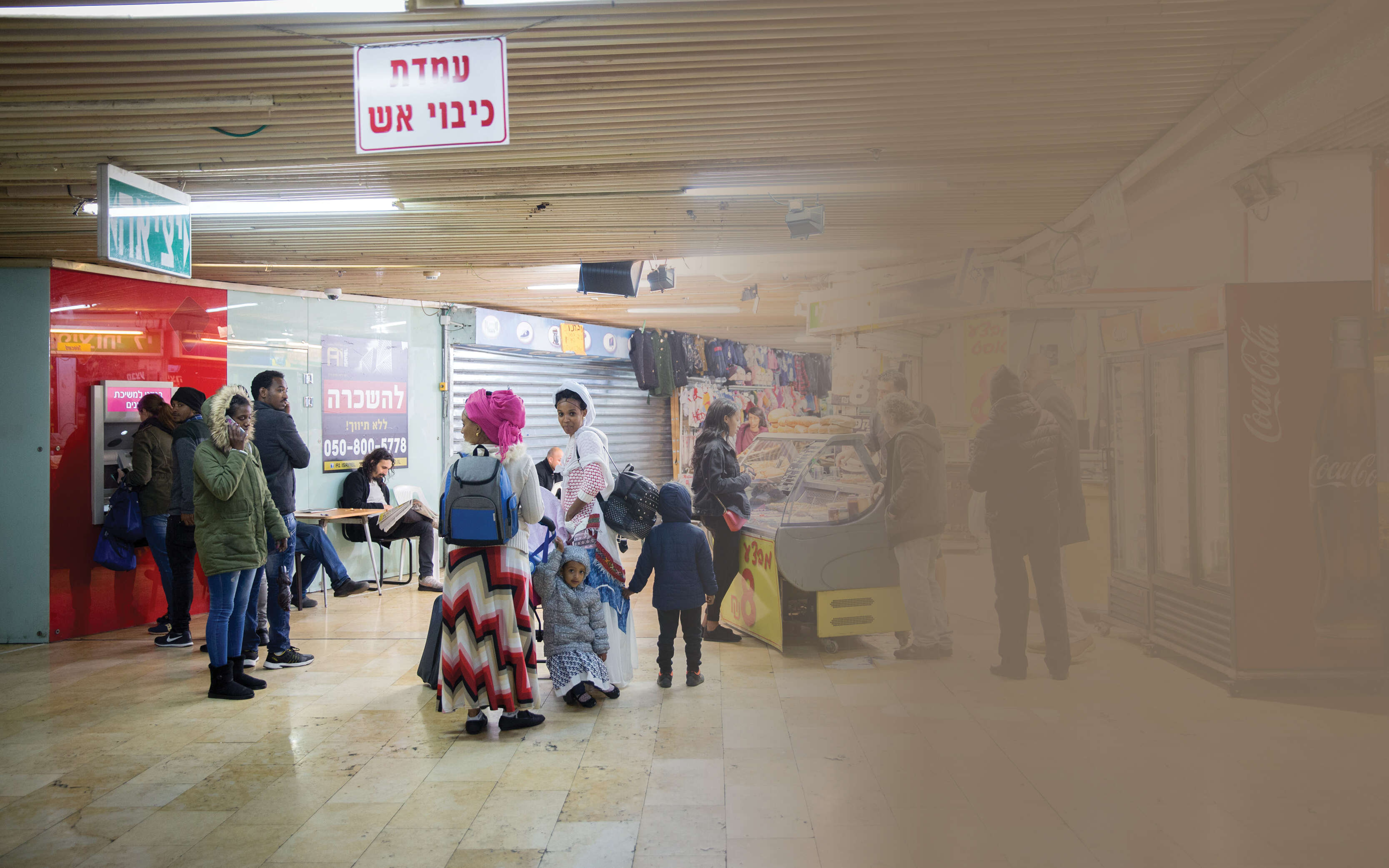 טורקי קטן | מרים אלסטר, פלאש 90 טורקי קטן | מרים אלסטר, פלאש 90