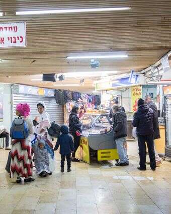 טורקי קטן דף הבית | מרים אלסטר, פלאש 90 טורקי קטן דף הבית | מרים אלסטר, פלאש 90