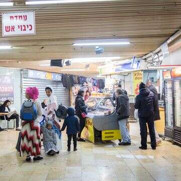 טורקי קטן דף הבית | מרים אלסטר, פלאש 90 טורקי קטן דף הבית | מרים אלסטר, פלאש 90