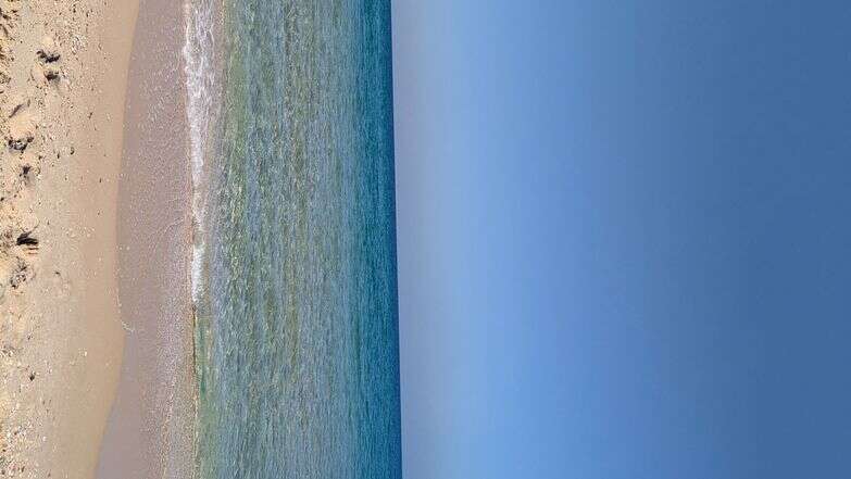 אותו הים | רועי קדם אותו הים | רועי קדם