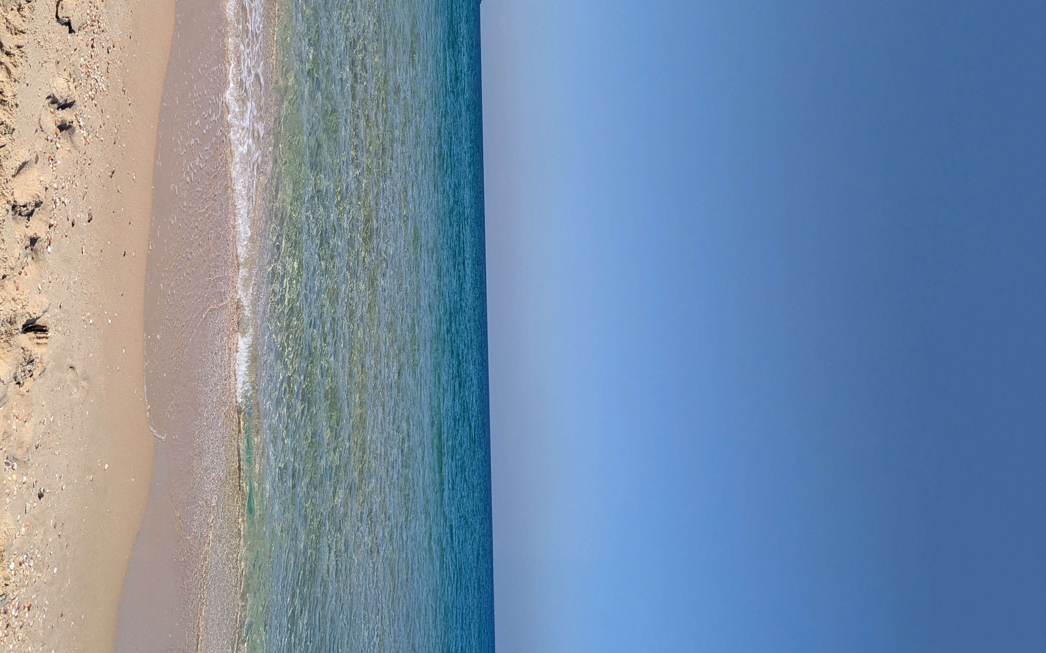 אותו הים | רועי קדם אותו הים | רועי קדם