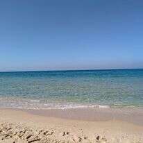 אותו הים דף הבית | רועי קדם אותו הים דף הבית | רועי קדם