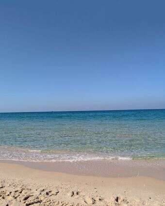 אותו הים דף הבית | רועי קדם אותו הים דף הבית | רועי קדם