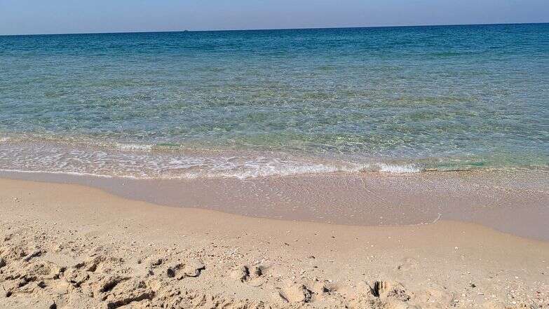 אותו הים דף הבית | רועי קדם אותו הים דף הבית | רועי קדם