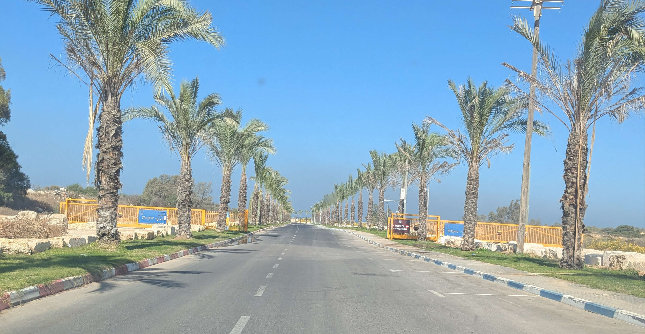 רועי קדם רועי קדם