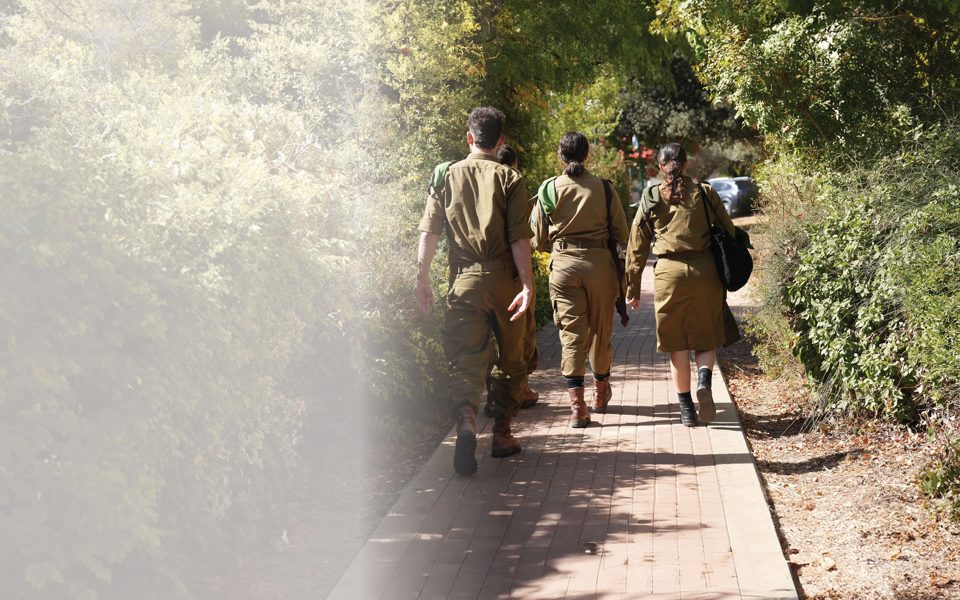מלחמת התקומה | אייל מרגולין, ג'יני
