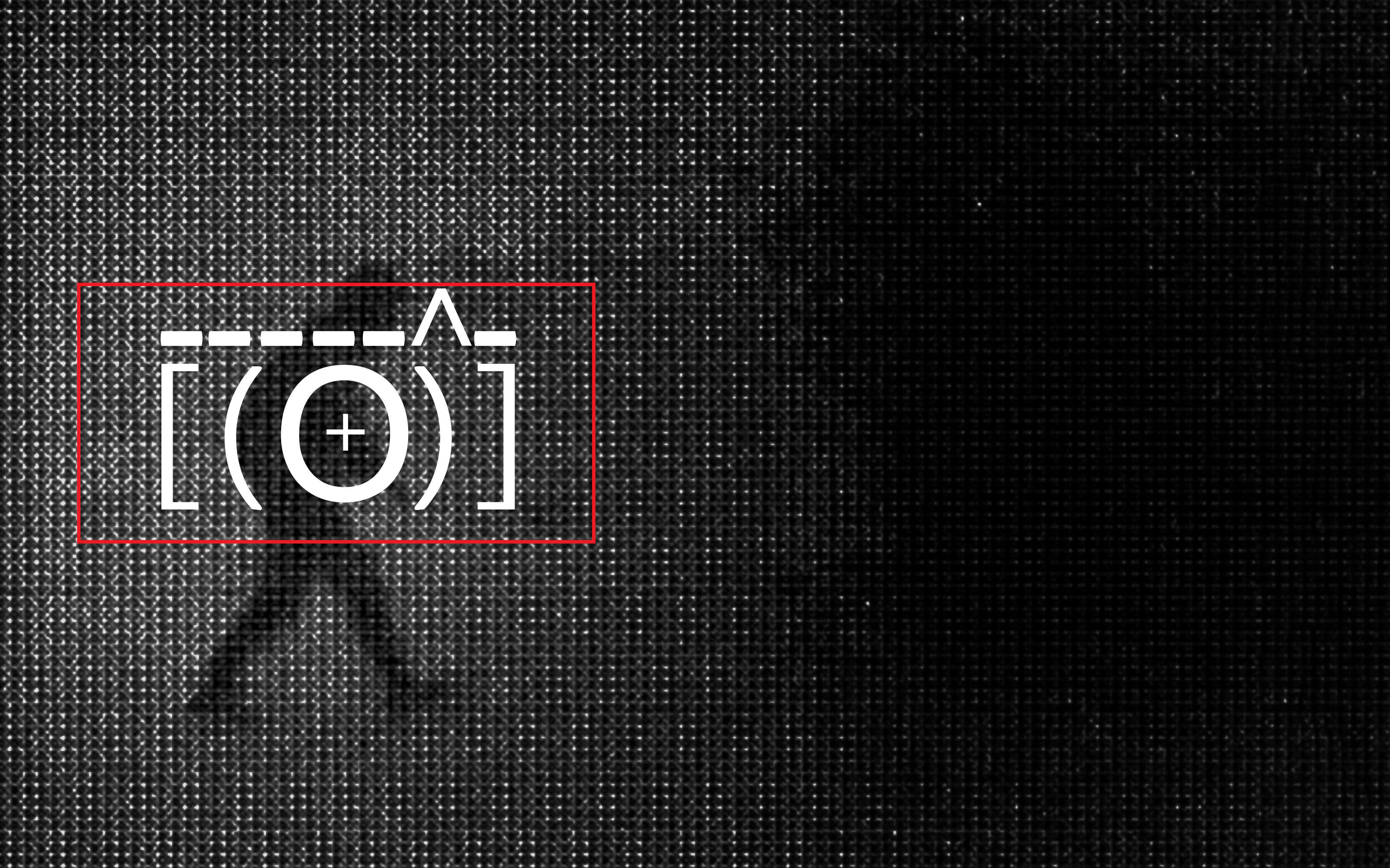 בשידור חוקר | ללא