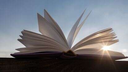 קריאת ספר | שאטרסטוק