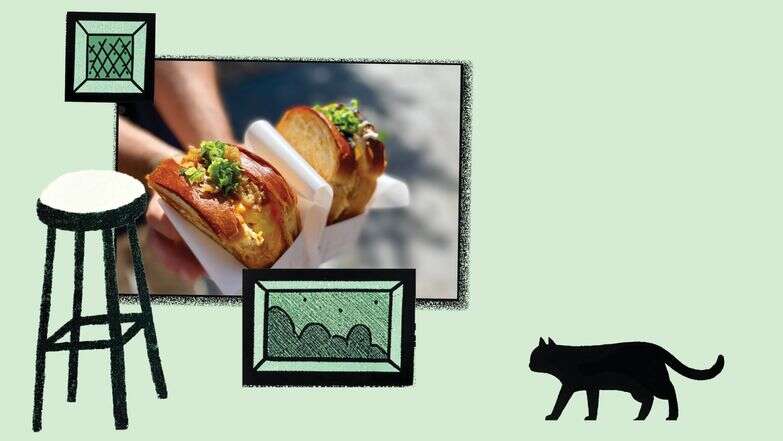 חתוליות מסכת ביצה | ג'ו ונאוה חתוליות מסכת ביצה | ג'ו ונאוה