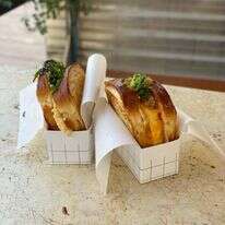 חתוליות מסכת ביצה דף הבית | ג'ו ונאוה