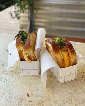 חתוליות מסכת ביצה דף הבית | ג'ו ונאוה חתוליות מסכת ביצה דף הבית | ג'ו ונאוה