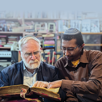 אורות האורית | פלימונה גתאצ'וו אורות האורית | פלימונה גתאצ'וו