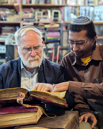 אורות האורית עמוד הבית | פלימונה גתאצ'וו אורות האורית עמוד הבית | פלימונה גתאצ'וו